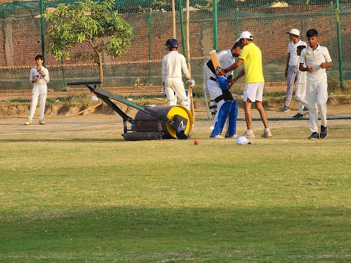 Cricket player profile